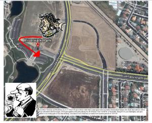 Better than PBR - Never !!!!! Blasphemy?