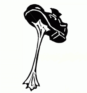 Don't Step On The Goo